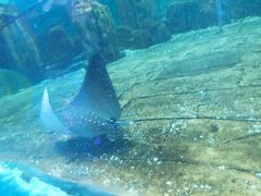 -波塞冬海底世界