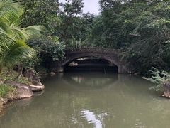 -呀诺达热带雨林