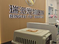 -瑞派康怡24h宠物医院·犬猫医疗中心·微创绝育(瑞景分院)