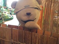 -济州岛泰迪熊博物馆