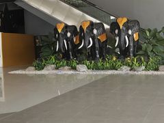 -东芭乐园
