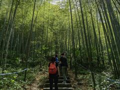 -南山风景名胜区