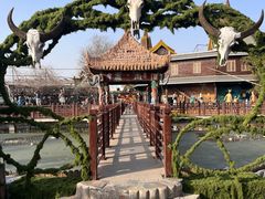 -呀路古热带植物园