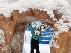 -长沙湘江冰雪世界