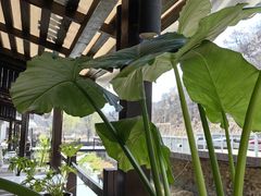 -泰莲庭·溪畔餐厅(雁栖湖店)