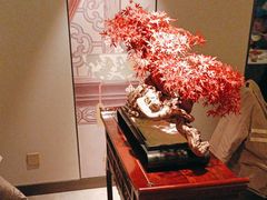 -顺峰(农展馆店)