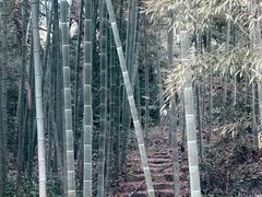 -黄公望隐居地