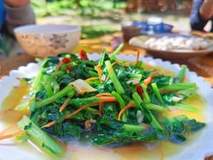 -腾冲国萍农家乐
