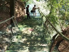 -川西竹海景区