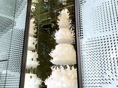 -BLACKSWAN黑天鹅(环球店)