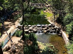 -白水寺森林公园