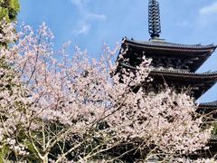 -醍醐寺