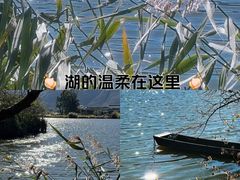 -大理洱源西湖景区