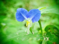 -碓臼峪自然风景区