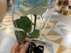 -牛New寿喜烧(新六百店)