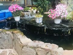 -乡村小榭饭店