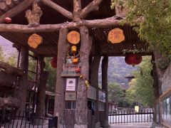 -天门沟九州驿站树上汤泉