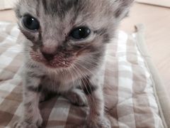 -爱侣宠医·鹦鹉专科·小型哺乳类·异宠专科(灵石路店)