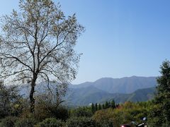 -塔川景区