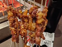 -邢氏老太太烤串(北兴街店)