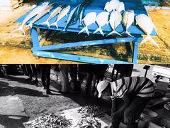 -尼甘布海鲜市场