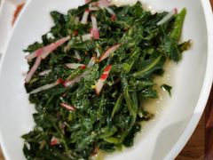 清拌野苦菜-九十九顶毡房(阜石路店)