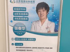 -北京观赏动物医院·24小时大型综合·猫专科·异宠专科