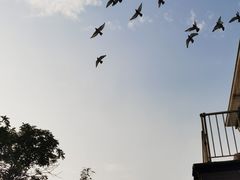 -前门兵部洼胡同停车场