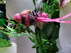 -福季酒店(怡园绿景店)