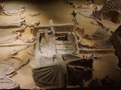 -洛阳周王城天子驾六博物馆