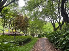 -新江湾城公园