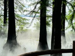 -东湖落雁景区