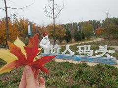 -东郊湿地公园