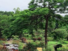 -东莞植物园