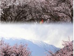 -雅鲁藏布江