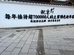 -印象鲵宴·张家界地标美食名片(溪布街店)