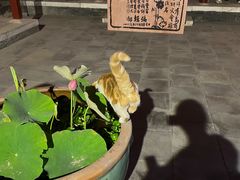 -李叔同故居纪念馆