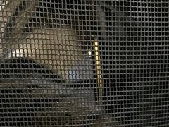 -动物缘宠物医院·骨科·猫科(西二环店)