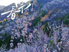 -北京凤凰岭