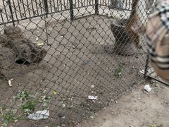 -长白岛森林公园