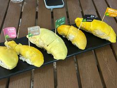 -榴莲BB 四季果园