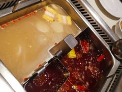 -海底捞火锅(龙岗星河COCO Park店)