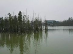 -白鹭湾湿地公园