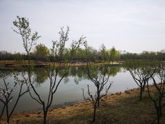-东郊湿地公园