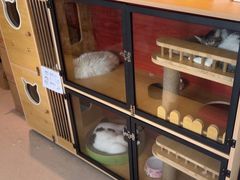 -御宝贝·A梦猫科宠物医院(国际猫友好医院)