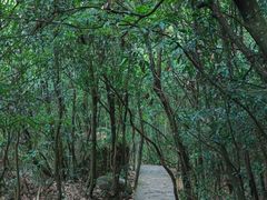 -黄山翡翠谷景区
