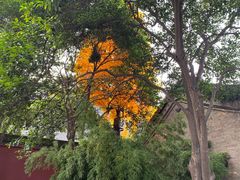 -西安市广仁寺