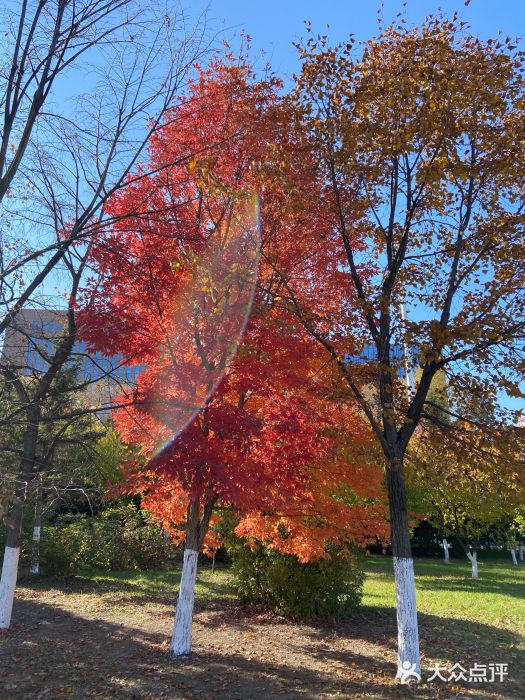 长春世界雕塑园冰雪艺术天地图片