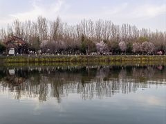 -西安汉城湖景区