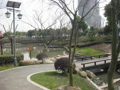 -陈家山荷花公园